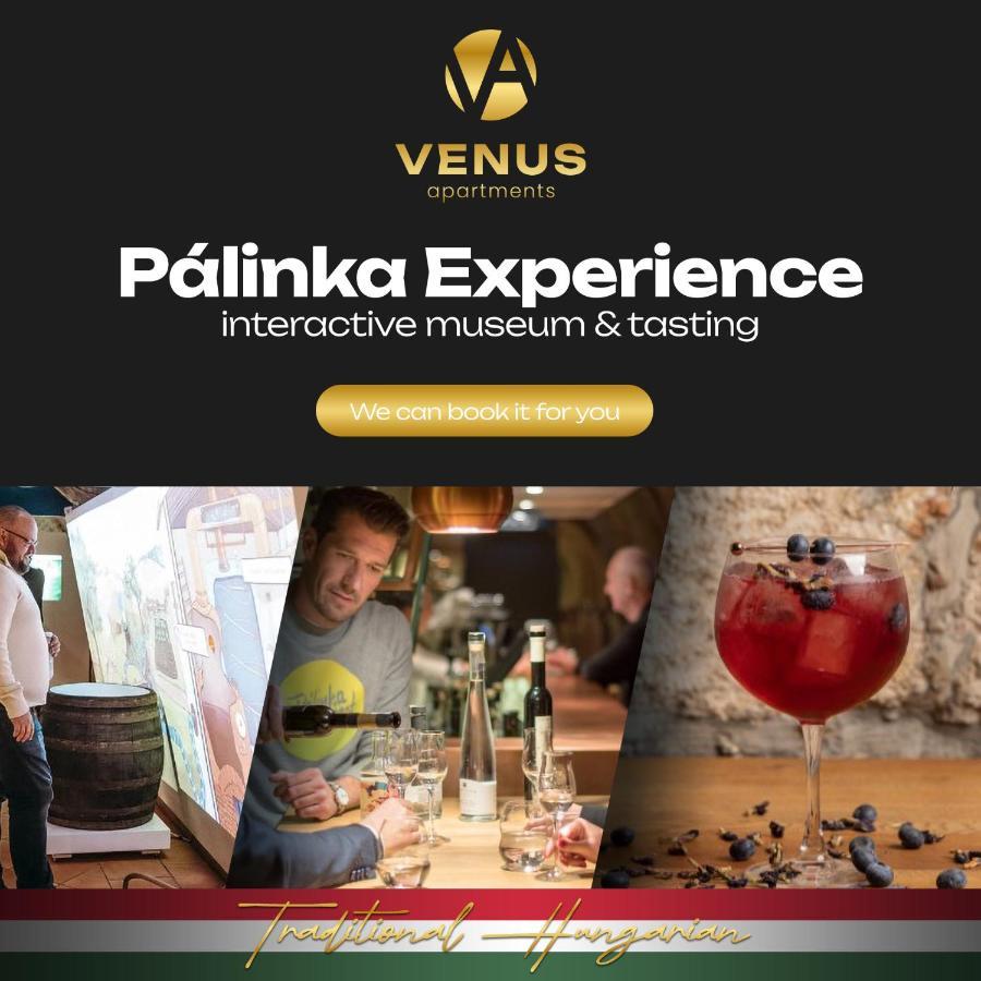 בודפשט Venus Apartments - Gozsdu Court I מראה חיצוני תמונה